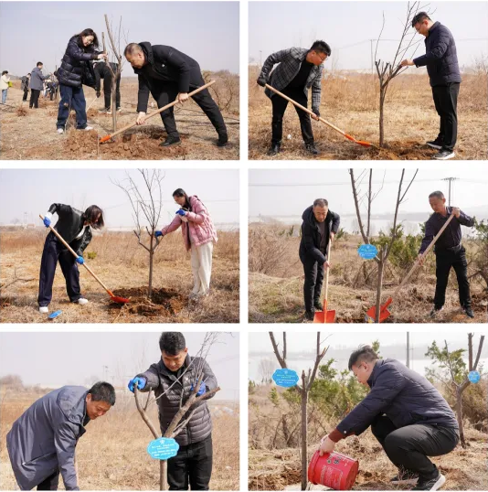 1744251463198828.png image.png